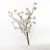 Sparenberg Designworks » Vase (XL) is Discontinued since 2021-01-01